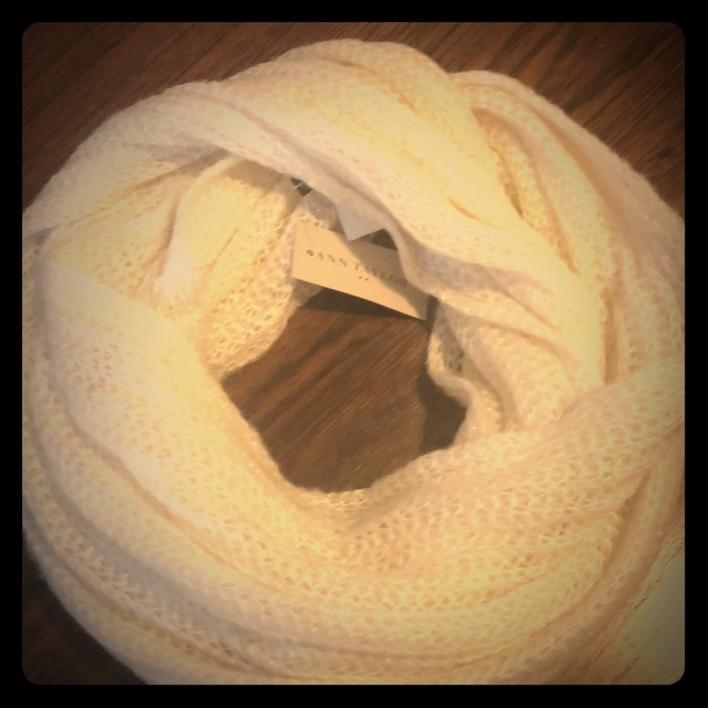 Ann Taylor Infinite Scarf